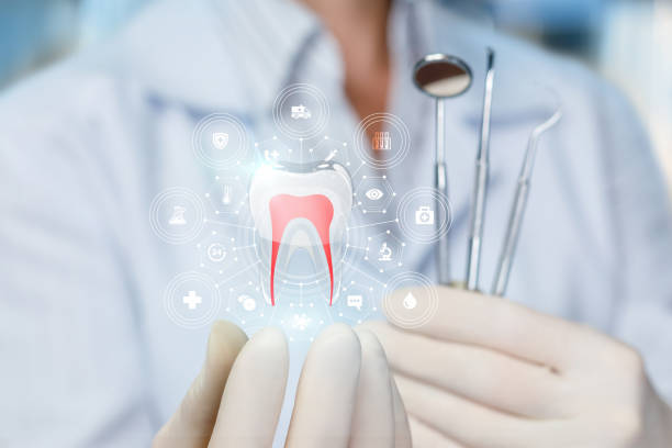 Best Dental Exams and Cleanings  in Fraser, CO