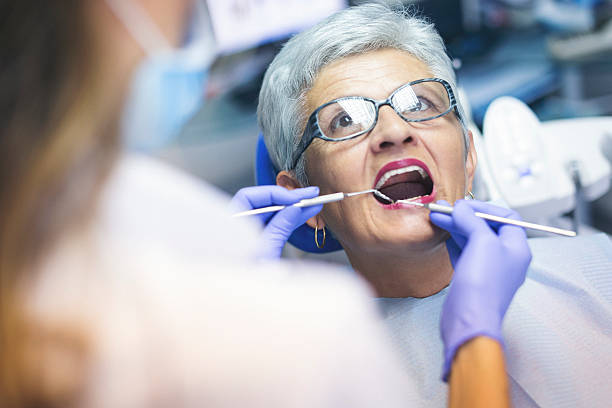 Reliable Fraser, CO  Holistic Dental Services Solutions